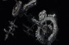 vlcsnap-2015-11-02-01h03m13s430.png