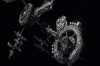 vlcsnap-2015-11-02-01h03m13s749.png
