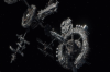 vlcsnap-2015-11-02-01h03m14s011.png