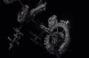 vlcsnap-2015-11-02-01h03m14s279.png