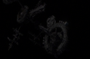 vlcsnap-2015-11-02-01h03m14s620.png
