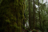 vlcsnap-2015-11-02-01h03m28s555.png