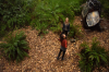 vlcsnap-2015-11-02-01h03m30s648.png