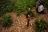vlcsnap-2015-11-02-01h03m31s391.png