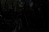 vlcsnap-2015-11-02-01h03m33s243.png