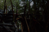 vlcsnap-2015-11-02-01h03m33s666.png