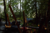 vlcsnap-2015-11-02-01h03m35s349.png