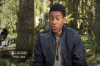 vlcsnap-2015-11-02-01h04m36s412.png