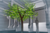 vlcsnap-2015-11-02-01h06m00s309.png