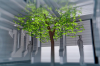 vlcsnap-2015-11-02-01h06m00s750.png