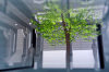 vlcsnap-2015-11-02-01h06m01s116.png