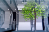 vlcsnap-2015-11-02-01h06m01s549.png