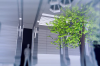 vlcsnap-2015-11-02-01h06m04s196.png