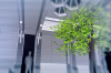 vlcsnap-2015-11-02-01h06m04s591.png