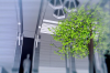 vlcsnap-2015-11-02-01h06m04s972.png