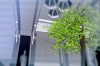 vlcsnap-2015-11-02-01h06m06s131.png