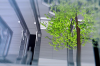 vlcsnap-2015-11-02-01h06m06s576.png