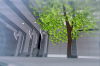 vlcsnap-2015-11-02-01h06m07s035.png