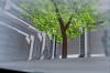 vlcsnap-2015-11-02-01h06m07s429.png