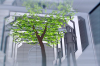 vlcsnap-2015-11-02-01h06m08s949.png