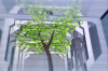 vlcsnap-2015-11-02-01h06m09s338.png
