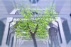 vlcsnap-2015-11-02-01h06m09s717.png