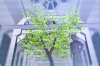 vlcsnap-2015-11-02-01h06m10s068.png