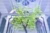 vlcsnap-2015-11-02-01h06m10s463.png