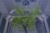 vlcsnap-2015-11-02-01h06m10s839.png
