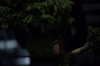 vlcsnap-2015-11-02-01h06m13s258.png