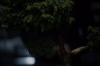 vlcsnap-2015-11-02-01h06m13s657.png