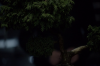 vlcsnap-2015-11-02-01h06m14s089.png