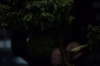 vlcsnap-2015-11-02-01h06m14s555.png