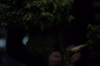 vlcsnap-2015-11-02-01h06m15s019.png