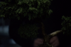 vlcsnap-2015-11-02-01h06m15s458.png