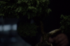 vlcsnap-2015-11-02-01h06m15s883.png