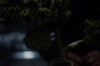 vlcsnap-2015-11-02-01h06m16s325.png