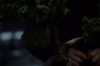 vlcsnap-2015-11-02-01h06m16s767.png