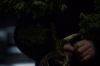 vlcsnap-2015-11-02-01h06m17s221.png