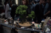 vlcsnap-2015-11-02-01h06m25s443.png