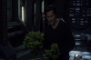 vlcsnap-2015-11-02-01h06m33s224.png