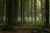 vlcsnap-2015-11-02-01h06m39s079.png