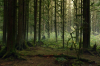 vlcsnap-2015-11-02-01h06m39s507.png