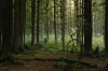 vlcsnap-2015-11-02-01h06m39s897.png