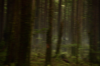vlcsnap-2015-11-02-01h06m41s718.png