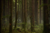 vlcsnap-2015-11-02-01h06m42s197.png