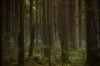 vlcsnap-2015-11-02-01h06m42s605.png