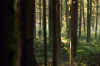 vlcsnap-2015-11-02-01h06m45s338.png