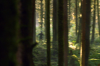 vlcsnap-2015-11-02-01h06m45s811.png