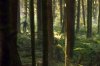 vlcsnap-2015-11-02-01h06m46s276.png